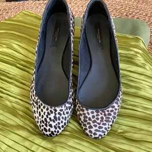 Ann Taylor Flats